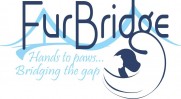 Furbridge, Inc.