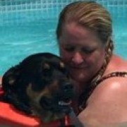 911 Dog Rescue Inc.