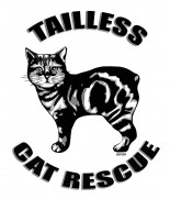 Tailless Cat Rescue