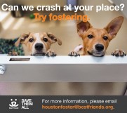Best Friends Animal Society - Houston Best Friends Animal Society - Houston