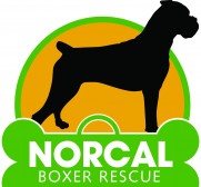 NorCal Boxer Rescue