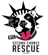 Second Chance Rescue NYC Dogs Second Chance Rescue NYC Dogs
