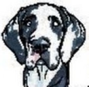 Akers of Love for Pups