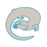 Badgerland Reptile Rescue Badgerland Reptile Rescue