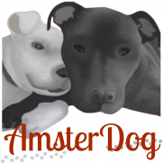 AmsterDog Rescue AmsterDog Rescue