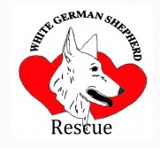 White German Shepherd Rescue White German Shepherd Rescue