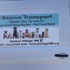 Animal Village NM NM Animal Village NM NM